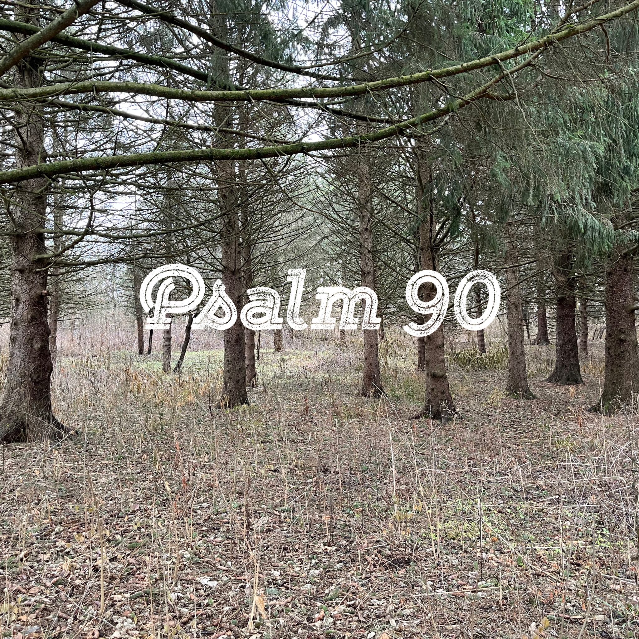 numbering-our-days-psalm-90-sermon-tom-schmidt-s-blog